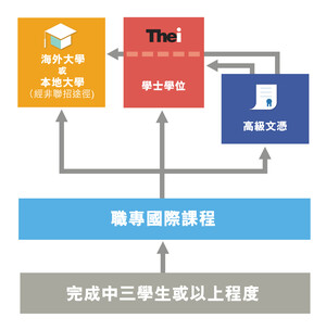 衔接学士学位及高级文凭